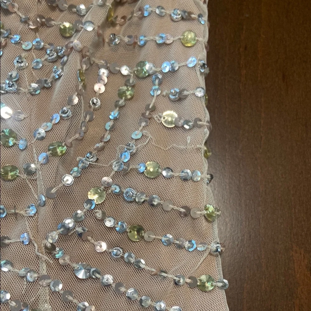 Elegant Sequined Dress in Champagne Gold - Picture 12 of 14